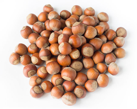 hazelnut1